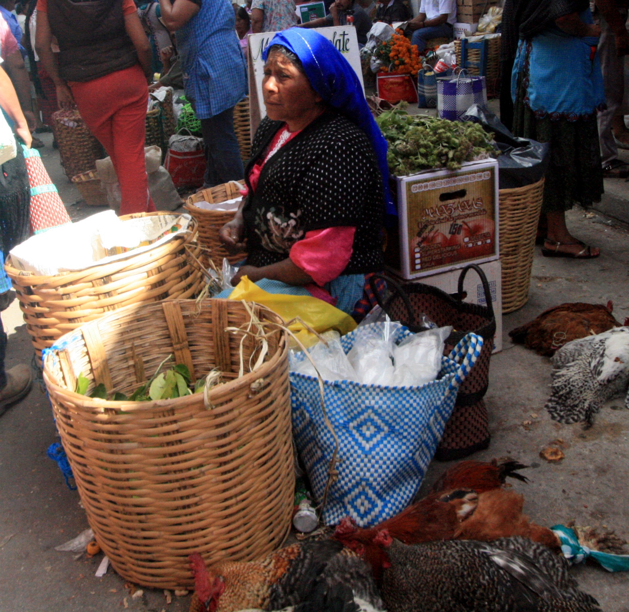 Mercado del dia de muertos en Tlacolula, mujer canastos pollo